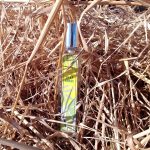 عطر ادکلن سیلکی گرس بروکارد - Silky Grass Brocard - بررسی، قیمت و خرید