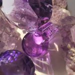 عطر ادکلن امونیا آمتیست بولگاری - Omnia Amethyste Bvlgari - بررسی، قیمت و خرید