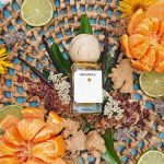 عطر ادکلن هیسپانیولا باله پرفیومز - Hispaniola Bale Perfumes - بررسی، قیمت و خرید