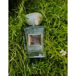 عطر ادکلن ته یولونگ سوی دو نکر جورجیو آرمانی - Thé Yulong Soie de Nacre Giorgio Armani - بررسی، قیمت و خرید