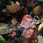 عطر ادکلن ریِل پَچولی بویس ۱۹۲۰ - Real Patchouly Bois 1920 - بررسی، قیمت و خرید