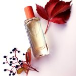 عطر ادکلن هرمسنس آمبر نرگیله اِرمِس - Hermessence Ambre Narguile Hermès - بررسی، قیمت و خرید