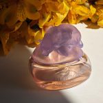عطر ادکلن دلیشز کاتن کندی گیل هایمن - Delicious Cotton Candy Gale Hayman - بررسی، قیمت و خرید
