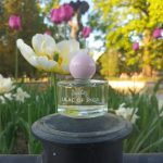 عطر ادکلن لایلاک آف ریگا دزینتارس - Lilac of Riga (Рижская Сирень, 2022) Dzintars - بررسی، قیمت و خرید
