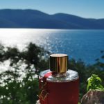 عطر ادکلن سی اچ کارولینا هررا - CH (2015) Carolina Herrera - بررسی، قیمت و خرید