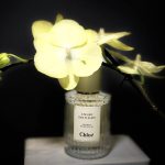 عطر ادکلن وانیل پلانیفولیا کلوئه - Vanilla Planifolia Chloé - بررسی، قیمت و خرید