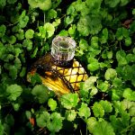 عطر ادکلن لاریویر دِ پارفوم گوستاو ایفل - La Riviere Des Parfums Gustave Eiffel - بررسی، قیمت و خرید
