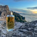 عطر ادکلن هورایزن داویدف - Horizon Davidoff - بررسی، قیمت و خرید