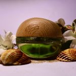 عطر ادکلن دی کی ان وای بی دیلیشز کوکونتز ابوت سامر داناکرن - DKNY Be Delicious Coconuts About Summer Donna Karan - بررسی، قیمت و خرید