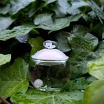 عطر ادکلن نوا کاچارل - Noa Cacharel - بررسی، قیمت و خرید