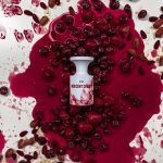 عطر ادکلن ایندیسنت چری بورن تو استند اوت - Indecent Cherry BORNTOSTANDOUT® - بررسی، قیمت و خرید