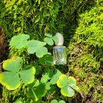 عطر ادکلن سی او دو تویلت جورجو آرمانی - Si Eau de Toilette Giorgio Armani - بررسی، قیمت و خرید