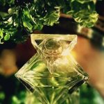 عطر ادکلن بیلیو بریتنی اسپیرز - Believe Britney Spears - بررسی، قیمت و خرید