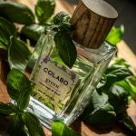عطر ادکلن گرین کلری سیج اند بَیسِل کولابو - Green Clary Sage & Basil COLABO - بررسی، قیمت و خرید