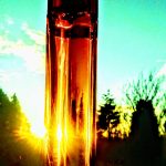 عطر ادکلن لیبرتِ کاشارل - Liberté Cacharel - بررسی، قیمت و خرید