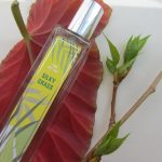 عطر ادکلن سیلکی گرس بروکارد - Silky Grass Brocard - بررسی، قیمت و خرید
