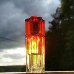 عطر ادکلن لیبرتِ کاشارل - Liberté Cacharel - بررسی، قیمت و خرید