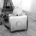 عطر ادکلن گایدنس فورتی سیکس آمواج - Guidance 46 Amouage - بررسی، قیمت و خرید