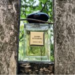 عطر ادکلن جاسمین کوسامونو جورجیو آرمانی - Jasmin Kusamono Giorgio Armani - بررسی، قیمت و خرید