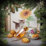 عطر ادکلن مدلن بروکارد - Madeleine Brocard - بررسی، قیمت و خرید
