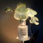 عطر ادکلن وانیل پلانیفولیا کلوئه - Vanilla Planifolia Chloé - بررسی، قیمت و خرید