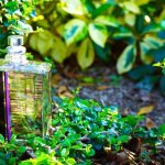 عطر ادکلن اسنتریک ۰۱ اسنتریک مولکولز - Escentric 01 Escentric Molecules - بررسی، قیمت و خرید