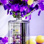 عطر ادکلن اسنتریک ۰۱ اسنتریک مولکولز - Escentric 01 Escentric Molecules - بررسی، قیمت و خرید