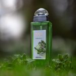 عطر ادکلن هرباریوم بروکارد - Herbarium Brocard - بررسی، قیمت و خرید