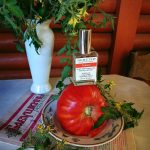 عطر ادکلن توماٹو دیمتر فراگرنس - Tomato Demeter Fragrance - بررسی، قیمت و خرید