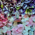 عطر ادکلن آر ای ام آریانا گرانده - R.E.M. Ariana Grande - بررسی، قیمت و خرید