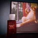 عطر ادکلن ماهاگانی وودز بث اند بادی ورکس - Mahogany Woods Bath & Body Works - بررسی، قیمت و خرید