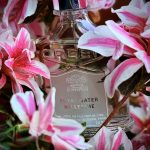 عطر ادکلن رویال واتر کریید - Royal Water Creed - بررسی، قیمت و خرید
