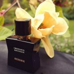 عطر ادکلن ابسسیو دواوشن هدونیک - Obsessive Devotion Hedonik - بررسی، قیمت و خرید