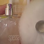 عطر ادکلن نبیا اسپسا فیلیپو سورچینلی - Nebbia Spessa Filippo Sorcinelli - بررسی، قیمت و خرید