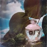 عطر ادکلن نوا کاچارل - Noa Cacharel - بررسی، قیمت و خرید