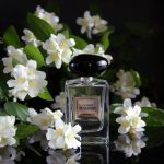 عطر ادکلن جاسمین کوسامونو جورجیو آرمانی - Jasmin Kusamono Giorgio Armani - بررسی، قیمت و خرید