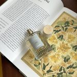 عطر ادکلن ایلانگ کانانگا کلوئه - Ylang Cananga Chloé - بررسی، قیمت و خرید