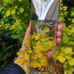عطر ادکلن تریوث کلوین کلاین - Truth Calvin Klein - بررسی، قیمت و خرید