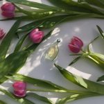 عطر ادکلن اُو دِدَن کچرل - Eau d'Eden Cacharel - بررسی، قیمت و خرید