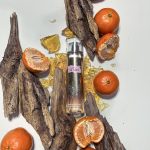 عطر ادکلن اینجه استارز بث اند بادی ورکس - In The Stars Bath & Body Works - بررسی، قیمت و خرید