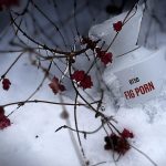 عطر ادکلن فیگ پورن بورن تو استند اوت - Fig Porn BORNTOSTANDOUT® - بررسی، قیمت و خرید