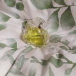 عطر ادکلن بیلیو بریتنی اسپیرز - Believe Britney Spears - بررسی، قیمت و خرید