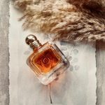 عطر ادکلن امپوریو آرمانی این لاو ویث یو جیورجیو آرمانی - Emporio Armani In Love With You Giorgio Armani - بررسی، قیمت و خرید