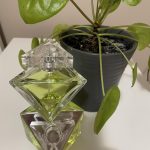 عطر ادکلن بیلیو بریتنی اسپیرز - Believe Britney Spears - بررسی، قیمت و خرید