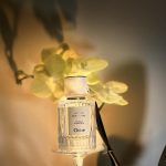 عطر ادکلن وانیل پلانیفولیا کلوئه - Vanilla Planifolia Chloé - بررسی، قیمت و خرید