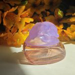 عطر ادکلن دلیشز کاتن کندی گیل هایمن - Delicious Cotton Candy Gale Hayman - بررسی، قیمت و خرید