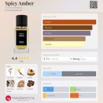 عطر ادکلن اسپایسی امبر فرنچ اَوِنیو - Spicy Amber French Avenue - بررسی، قیمت و خرید