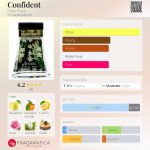عطر ادکلن کانفیدنت اِلِن تریسی - Confident Ellen Tracy - بررسی، قیمت و خرید