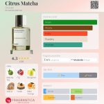 عطر ادکلن سیترس ماچا دوسیه - Citrus Matcha Dossier - بررسی، قیمت و خرید