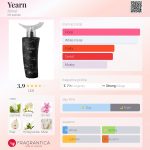 عطر ادکلن ییرن اجمل - Yearn Ajmal - بررسی، قیمت و خرید